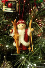 DCP_3052.jpg (70851 bytes)