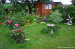 garden.jpg (151777 bytes)