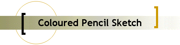 Coloured Pencil Sketch