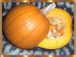 pumpkin.jpg (53875 bytes)