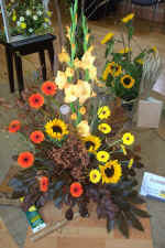 tn_Dcp_2488.jpg (144200 bytes)