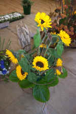 tn_Dcp_2491.jpg (139306 bytes)