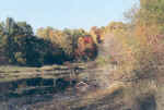 fall02no1.jpg (197868 bytes)