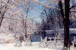 snowno1with angels.jpg (185307 bytes)
